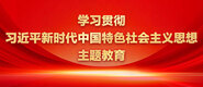 人人抠叉逼网学习贯彻习近平新时代中国特色社会主义思想主题教育_fororder_ad-371X160(2)